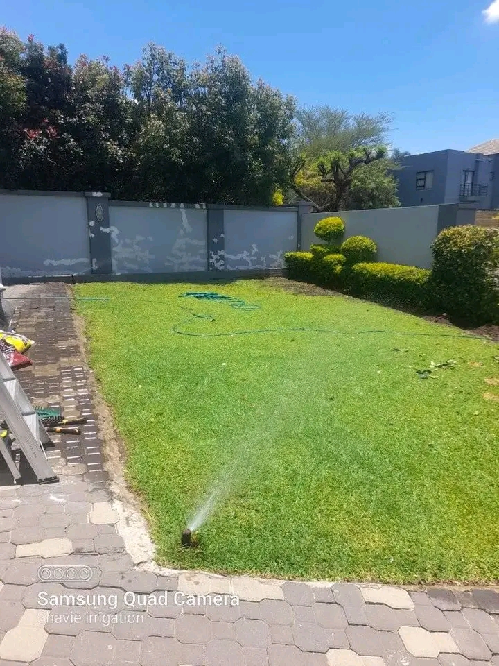 Garden sprinkler irrigation watering a residential lawn